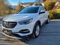Opel Grandland X 1,5 CDTI Spurhalte Sitz&Lenkradheizung Tempomat... Weiß - thumbnail 1