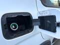 Fiat Panda Hybrid 1.0 Gse 51kw (70CV) City Life Blanco - thumbnail 26