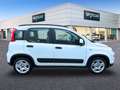 Fiat Panda Hybrid 1.0 Gse 51kw (70CV) City Life Blanco - thumbnail 4