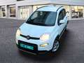 Fiat Panda Hybrid 1.0 Gse 51kw (70CV) City Life Blanco - thumbnail 22