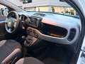 Fiat Panda Hybrid 1.0 Gse 51kw (70CV) City Life Blanco - thumbnail 12
