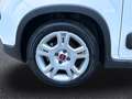 Fiat Panda Hybrid 1.0 Gse 51kw (70CV) City Life Blanco - thumbnail 11
