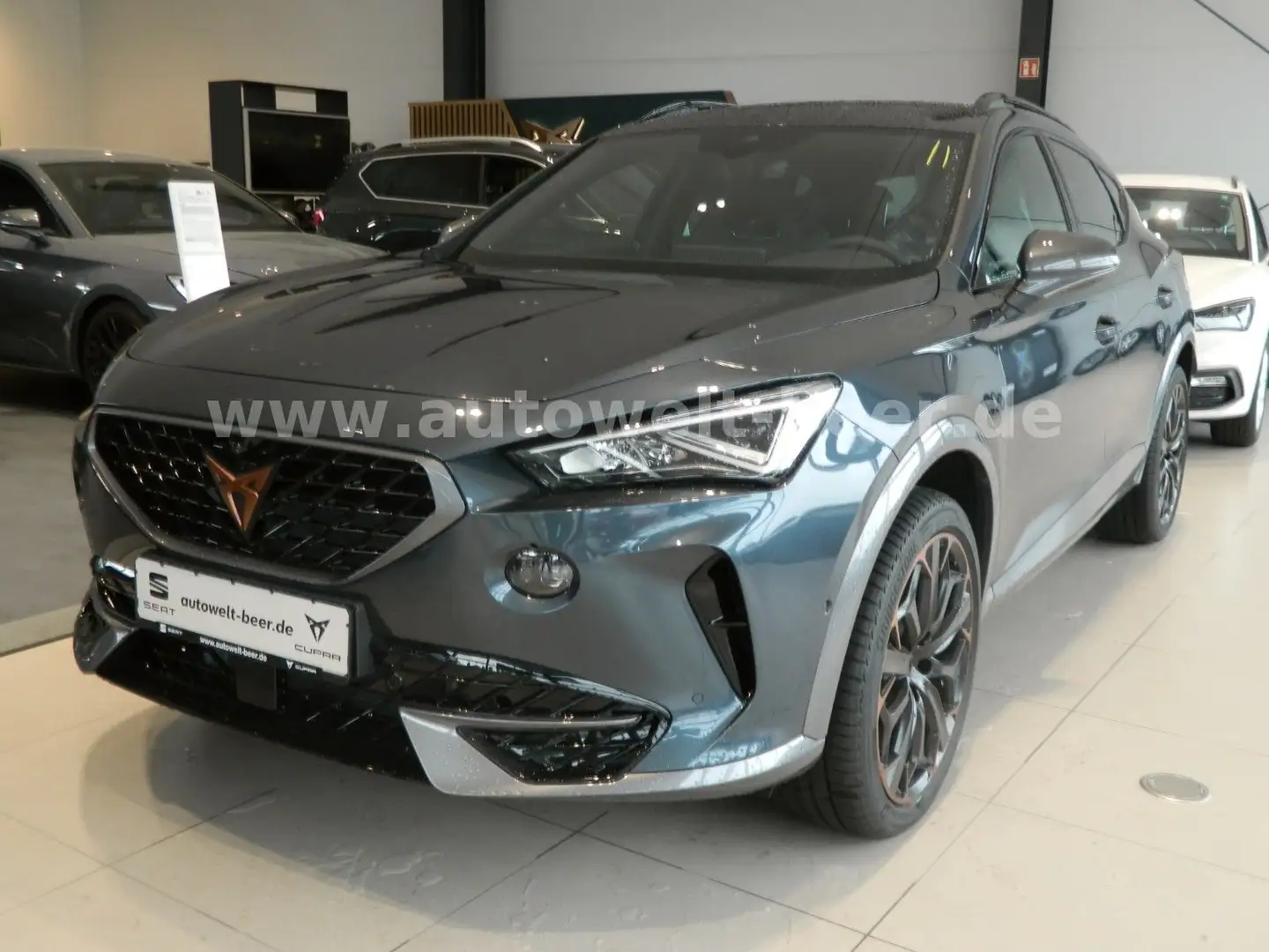 CUPRA Formentor VZ 2.0 TSI 4Drive 310 PS DSG Grau - 1