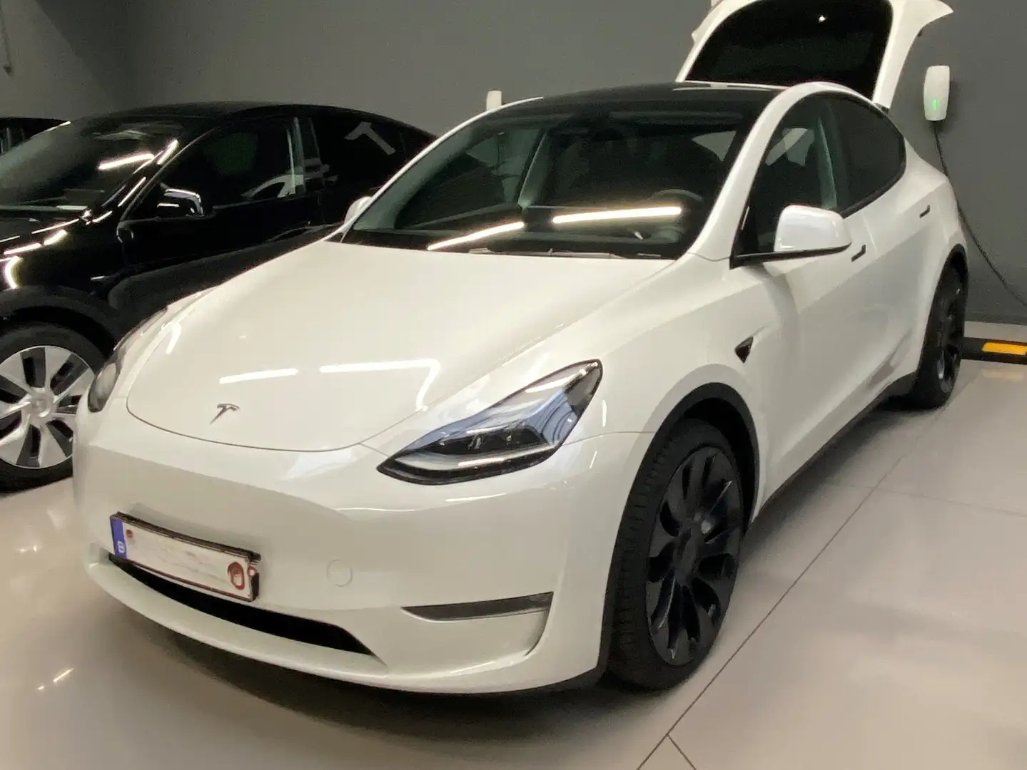 Tesla Model Y Model Y Performance Dual Motor AWD Білий - 1