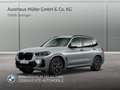 BMW X3 xDrive30d M-Sportpaket ACC HiFi Kamera Adapt.Fahrw Grau - thumbnail 1