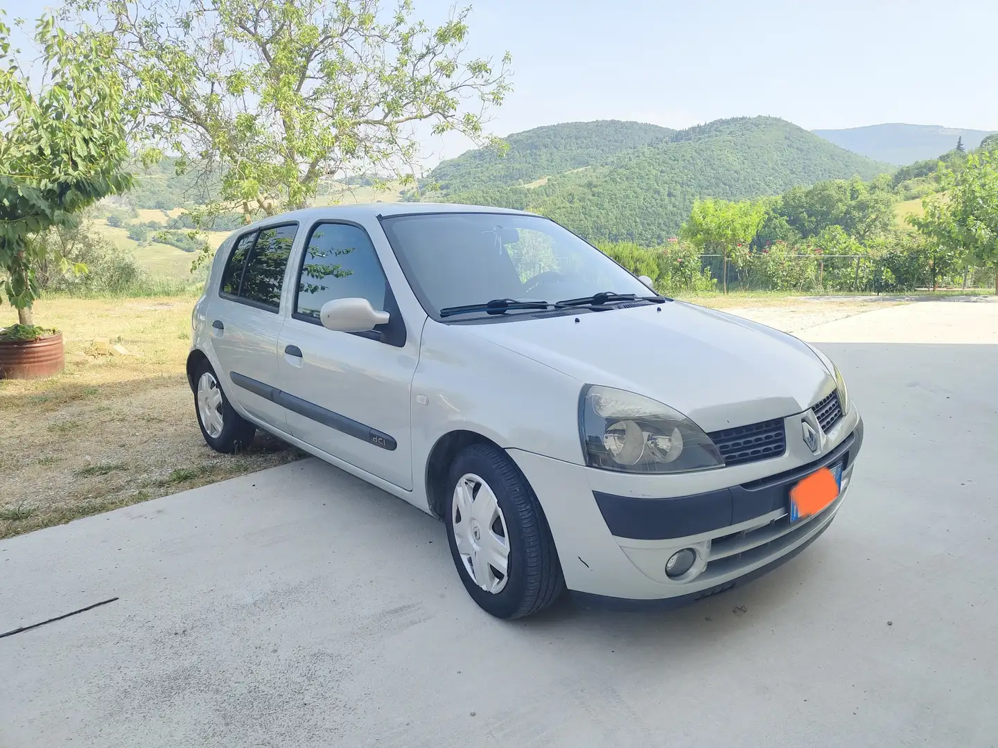 Renault Clio Clio 5p 1.9d RN c/2airbag Grigio - 2