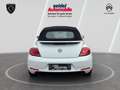 Volkswagen Beetle 1.2 TSI BMT ALLSTAR + Cabriolet, 1.Hand Blanco - thumbnail 4