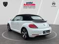 Volkswagen Beetle 1.2 TSI BMT ALLSTAR + Cabriolet, 1.Hand Blanco - thumbnail 3