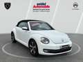 Volkswagen Beetle 1.2 TSI BMT ALLSTAR + Cabriolet, 1.Hand Blanco - thumbnail 7