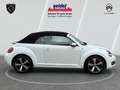 Volkswagen Beetle 1.2 TSI BMT ALLSTAR + Cabriolet, 1.Hand Blanco - thumbnail 6