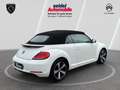 Volkswagen Beetle 1.2 TSI BMT ALLSTAR + Cabriolet, 1.Hand Blanco - thumbnail 5