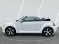 Volkswagen Beetle 1.2 TSI BMT ALLSTAR + Cabriolet, 1.Hand Blanco - thumbnail 9
