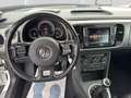 Volkswagen Beetle 1.2 TSI BMT ALLSTAR + Cabriolet, 1.Hand Blanco - thumbnail 15