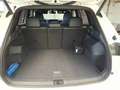 Volkswagen Tiguan 1.5 eTSI Goal DSG NAVI AHK KAM LED ACC Blanc - thumbnail 10