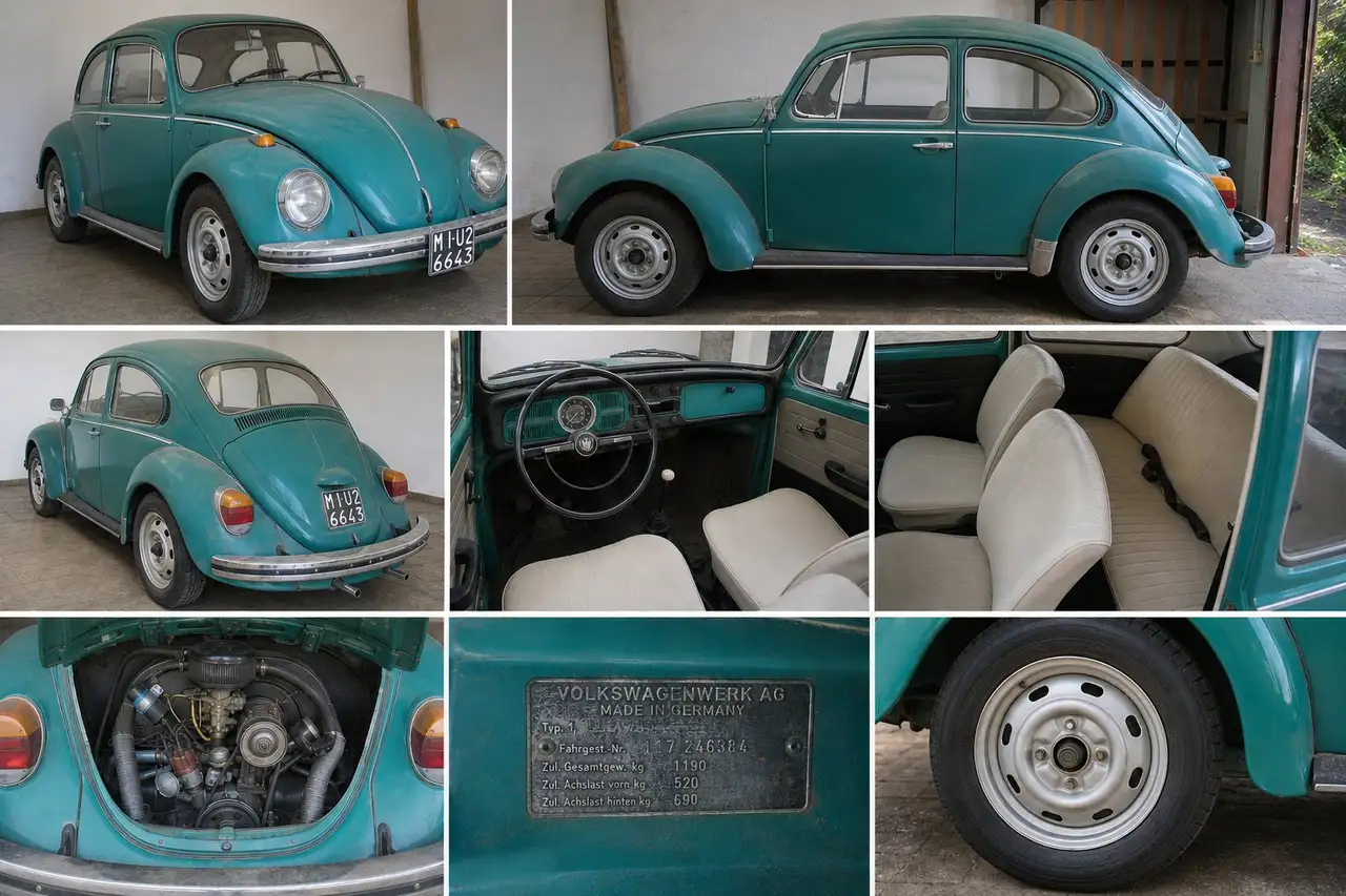 Volkswagen Maggiolino, foto 1