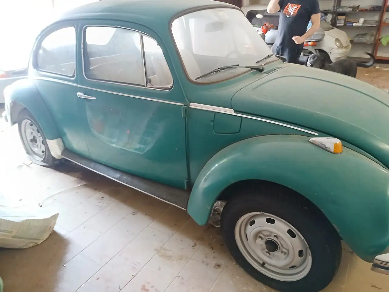Volkswagen Maggiolino, foto 5