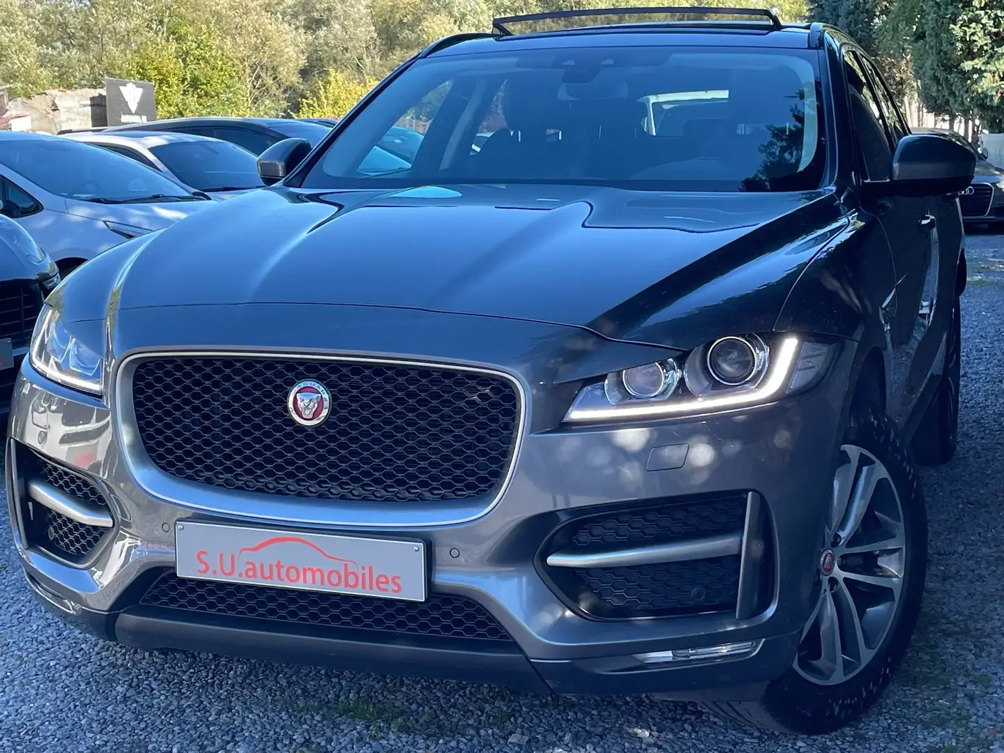 Jaguar F-Pace 2.0D AWD R-Sport AUTO/Pano/Cuir/Navi pro/Cam/Gar12 Grigio - 1