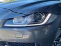 Jaguar F-Pace 2.0D AWD R-Sport AUTO/Pano/Cuir/Navi pro/Cam/Gar12 Grigio - thumbnail 9