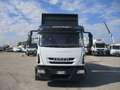 Iveco EUROCARGO 120/25 E5 RIBALTABILE TRILATERALE NUOVO bijela - thumbnail 2