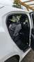 Mazda 2 1.5 m-hybrid Homura 90cv Bianco - thumbnail 11