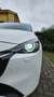 Mazda 2 1.5 m-hybrid Homura 90cv Bianco - thumbnail 6