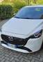Mazda 2 1.5 m-hybrid Homura 90cv Bianco - thumbnail 4