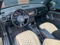 Volkswagen Beetle Cabriolet 1.2 TSI Exclusive series, BOMVOL! Brun - thumbnail 12