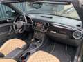 Volkswagen Beetle Cabriolet 1.2 TSI Exclusive series, BOMVOL! Brun - thumbnail 16