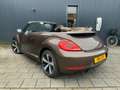 Volkswagen Beetle Cabriolet 1.2 TSI Exclusive series, BOMVOL! Brun - thumbnail 4