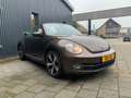 Volkswagen Beetle Cabriolet 1.2 TSI Exclusive series, BOMVOL! Brun - thumbnail 3