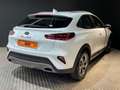 Kia XCeed 1.0 TGDi Concept 88kW 120CV Blanco - thumbnail 5