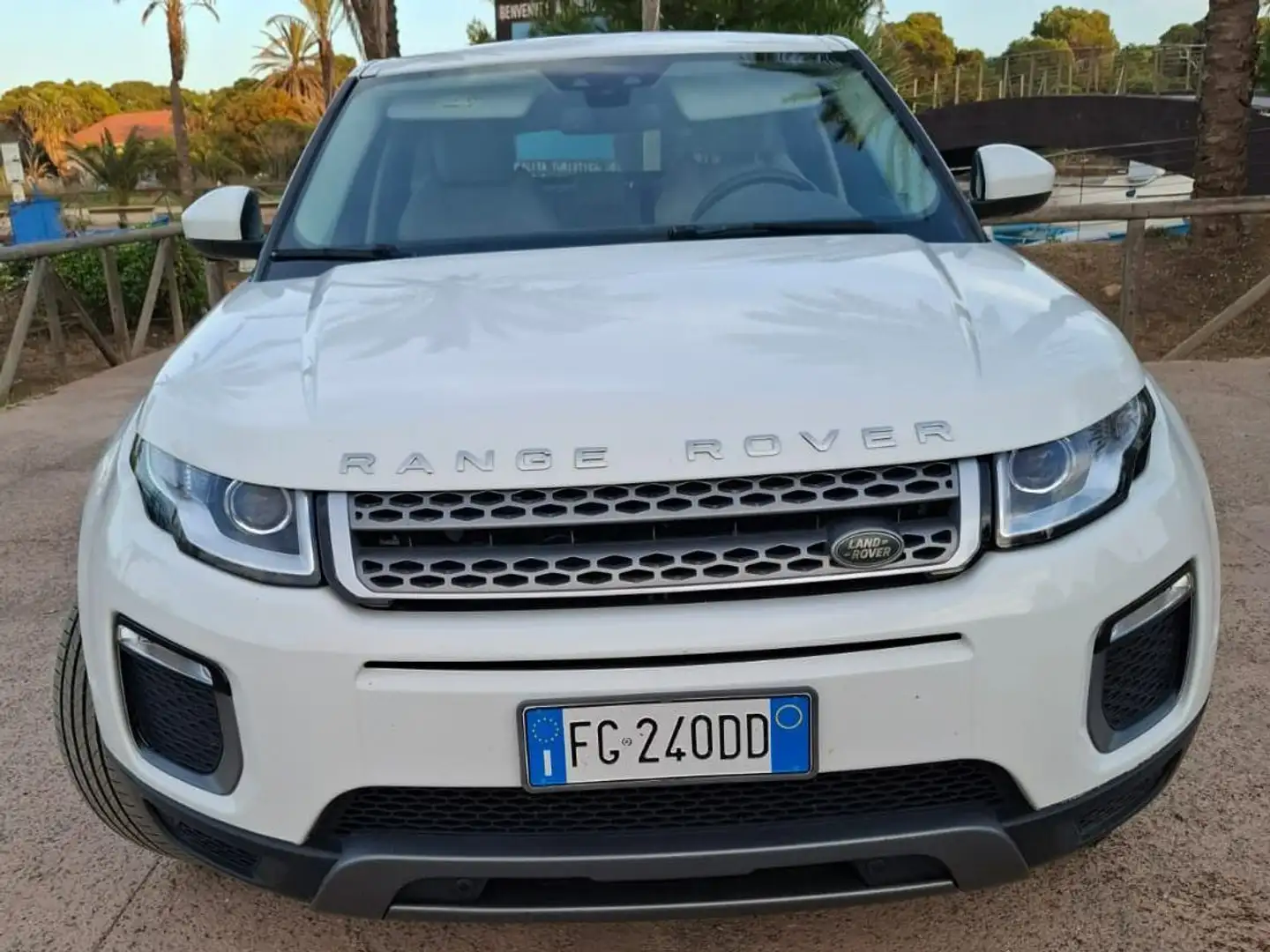 Land Rover Range Rover Evoque 5p 2.0 td4 Pure Business edition 150cv auto Blanc - 2