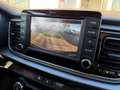 Kia Rio 1.2 Dream Team 62 kW (84 PS), Schalt. 5-Gang, F... Gris - thumbnail 16