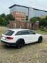 Audi A4 allroad 3.0 tdi Business Plus s-tronic - thumbnail 4