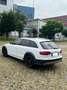 Audi A4 allroad 3.0 tdi Business Plus s-tronic - thumbnail 2