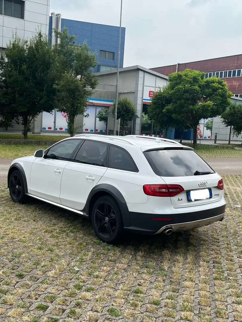 Audi A4 allroad 3.0 tdi Business Plus s-tronic - 2