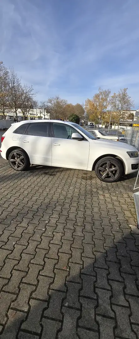 Audi Q5 3.0 TDI 176 kW quattro KeylessGo Weiß - 1