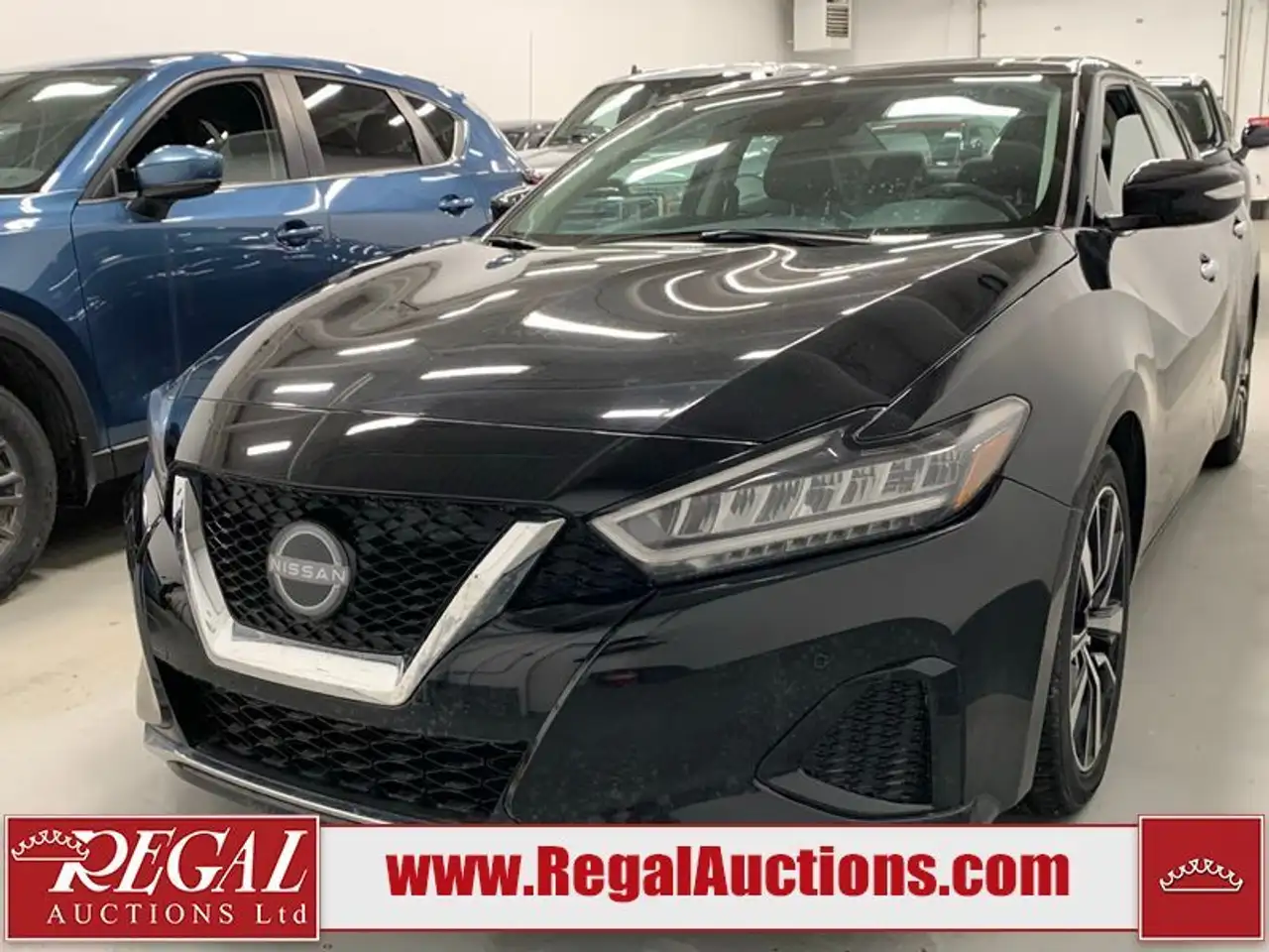 2023 Nissan Maxima