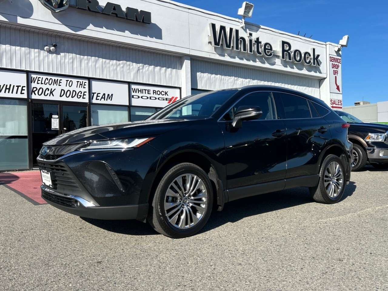 2024 Toyota Venza XLE AWD