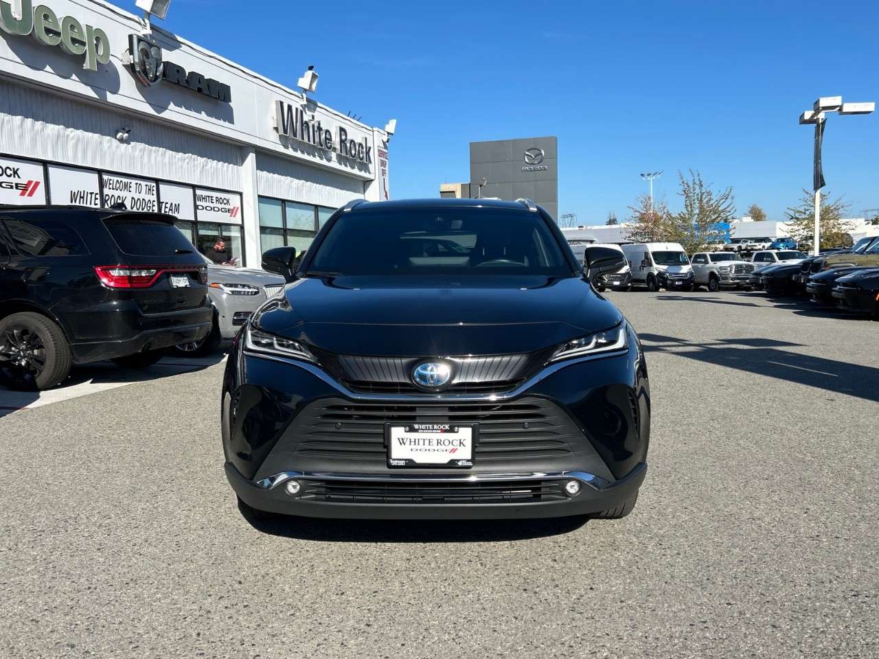 2024 Toyota Venza XLE AWD — photo 4