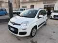 Fiat Panda Panda 1.2 Lounge 69cv Bianco - thumbnail 4
