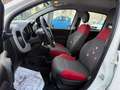 Fiat Panda Panda 1.2 Lounge 69cv Bianco - thumbnail 6