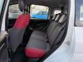 Fiat Panda Panda 1.2 Lounge 69cv Bianco - thumbnail 8