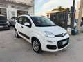 Fiat Panda Panda 1.2 Lounge 69cv Bianco - thumbnail 1