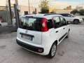 Fiat Panda Panda 1.2 Lounge 69cv Bianco - thumbnail 2