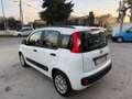 Fiat Panda Panda 1.2 Lounge 69cv Bianco - thumbnail 5