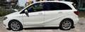 Mercedes-Benz B 180 Classe B - T246 cdi Executive auto Alb - thumbnail 2