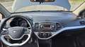 Kia Picanto 1.0 Cool Gpl 5p - thumbnail 9
