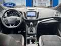 Ford Kuga 2.0TDCi Auto S&S ST-Line Limited Edition 4x4 PS 18 - thumbnail 11