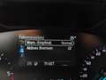 Ford Focus 1,5L EcoBlue 120PS,* Neues Modell** Weiß - thumbnail 30